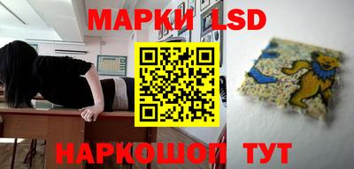 винт Донецк
