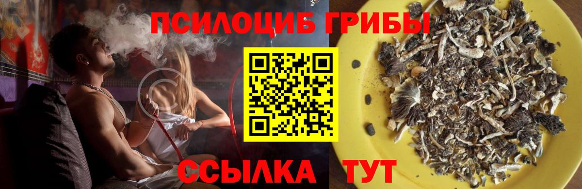 Галлюциногенные грибы ЛСД  Вход с VPN  Димитровград 
